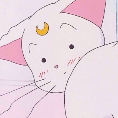 特朗普同意停火2周